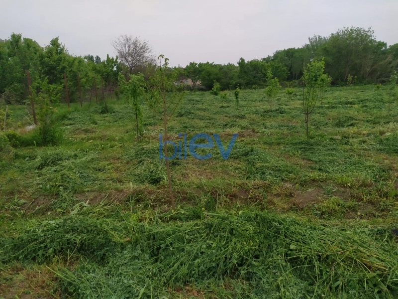 Satış  otaqlı Torpaq  40m², Tərtər