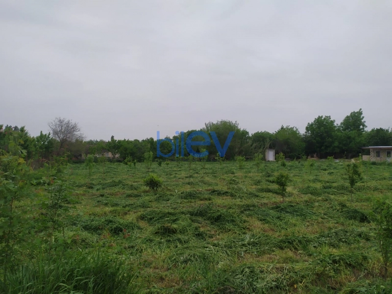 Satış  otaqlı Torpaq  40m², Tərtər