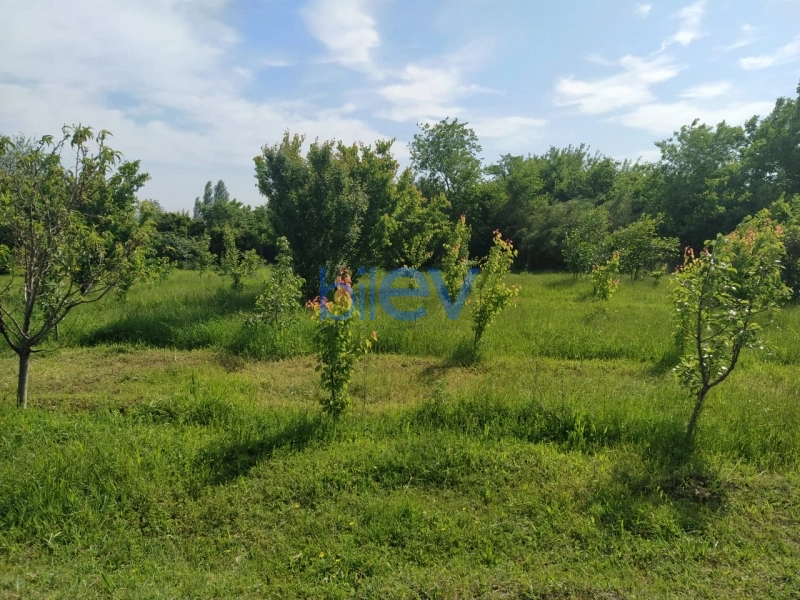 Satış  otaqlı Torpaq  40m², Tərtər