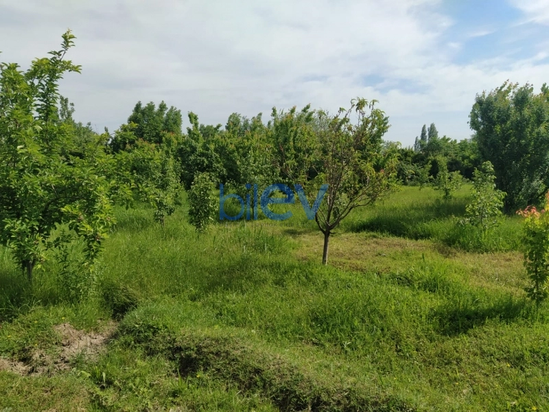 Satış  otaqlı Torpaq  40m², Tərtər