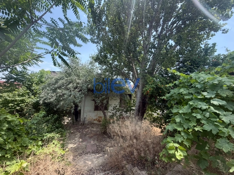 Satış  otaqlı Torpaq  500m², Bakı