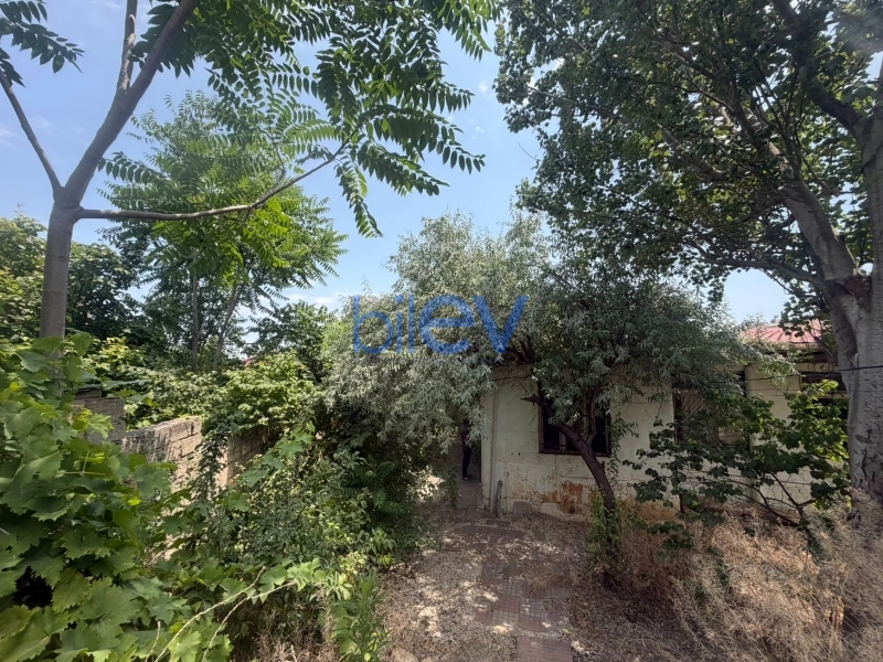 Satış  otaqlı Torpaq  500m², Bakı