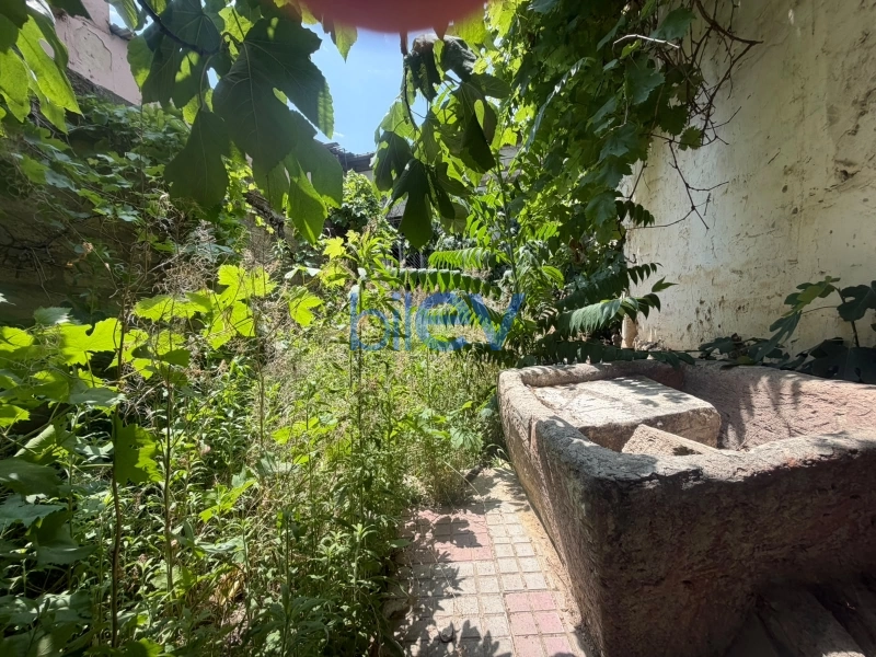Satış  otaqlı Torpaq  500m², Bakı