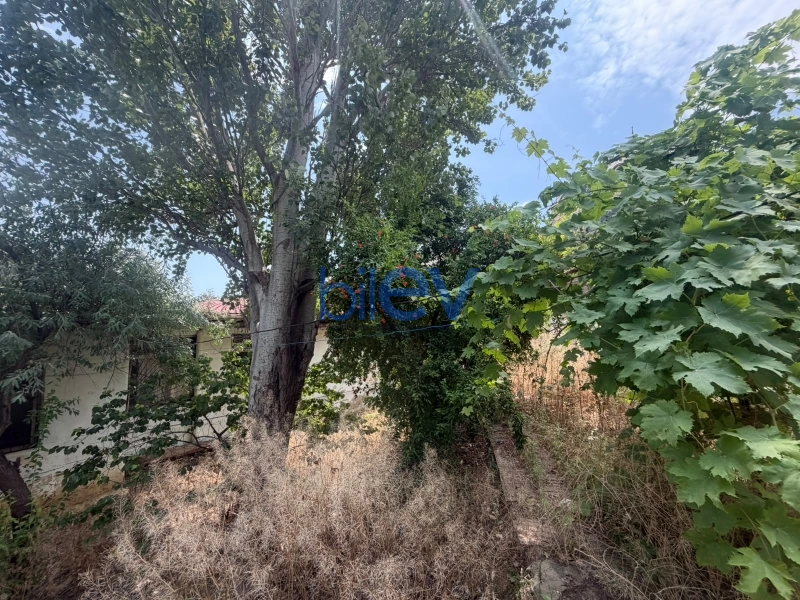 Satış  otaqlı Torpaq  500m², Bakı