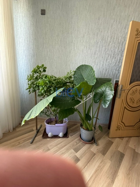 Satış 3 otaqlı Yeni Tikili bina evi  106m², Bakı
