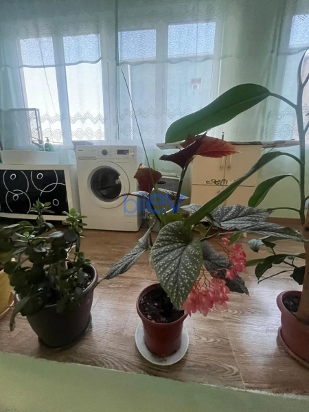 Satış 4 otaqlı Həyət evi  120m², Bakı