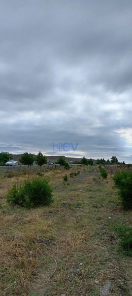 Satış  otaqlı Torpaq  200m², Göyçay