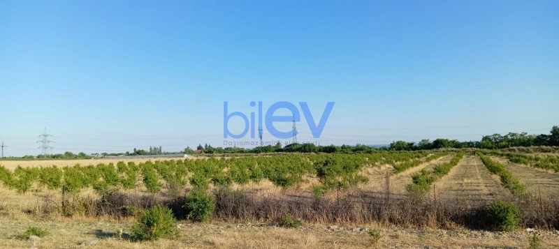 Satış  otaqlı Torpaq  200m², Göyçay