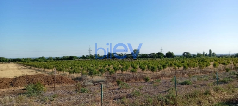 Satış  otaqlı Torpaq  200m², Göyçay