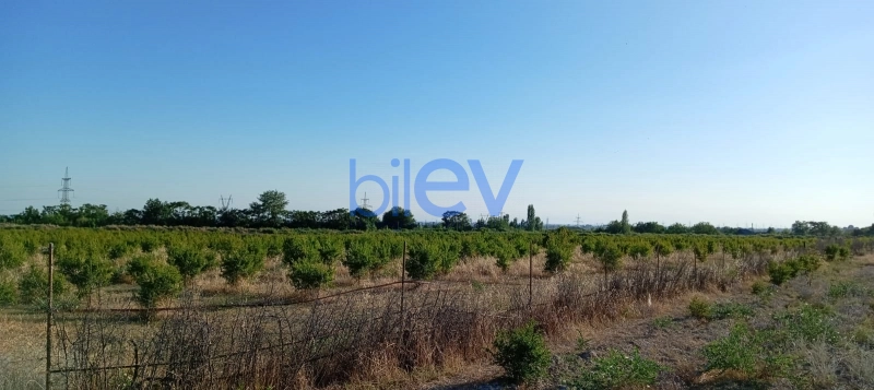Satış  otaqlı Torpaq  200m², Göyçay