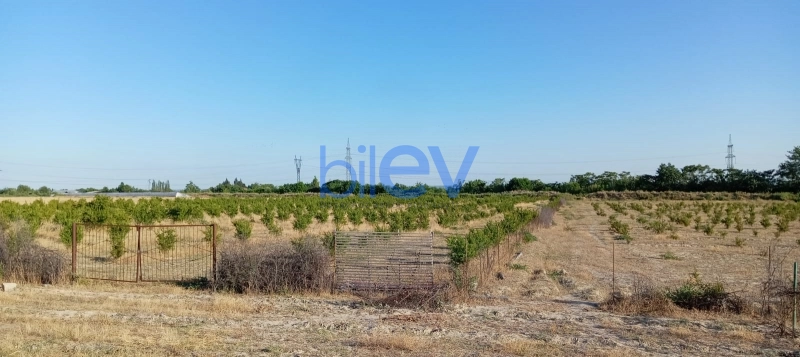 Satış  otaqlı Torpaq  200m², Göyçay