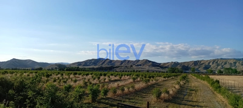 Satış  otaqlı Torpaq  200m², Göyçay