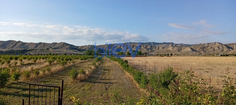 Satış  otaqlı Torpaq  200m², Göyçay