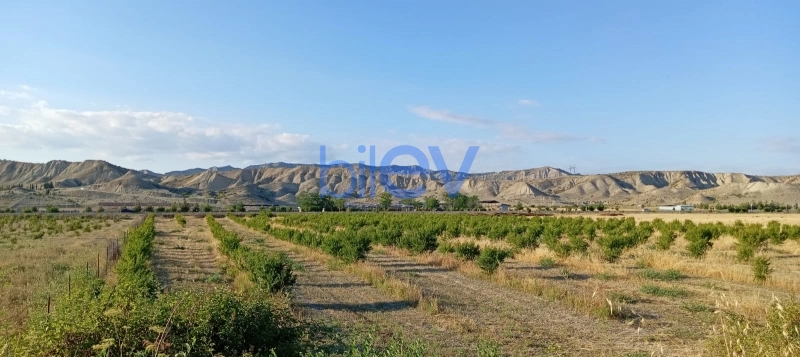 Satış  otaqlı Torpaq  200m², Göyçay