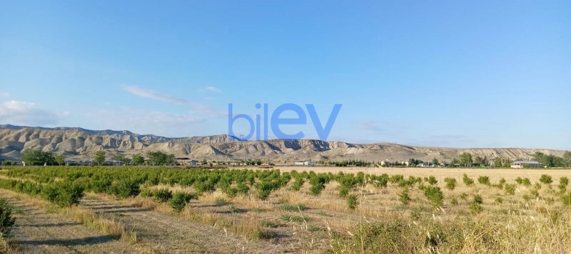 Satış  otaqlı Torpaq  200m², Göyçay