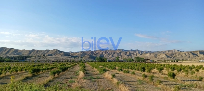 Satış  otaqlı Torpaq  200m², Göyçay