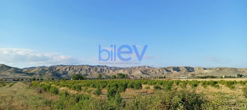 Satış  otaqlı Torpaq  200m², Göyçay