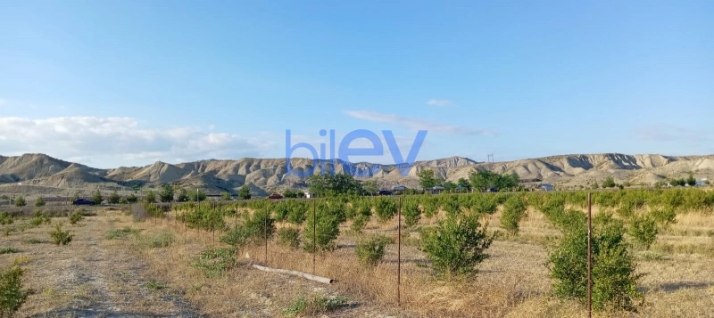 Satış  otaqlı Torpaq  200m², Göyçay