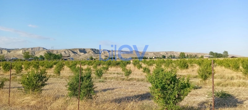 Satış  otaqlı Torpaq  200m², Göyçay