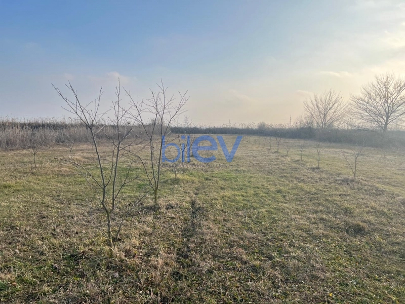 Satış  otaqlı Torpaq  75m², Göyçay