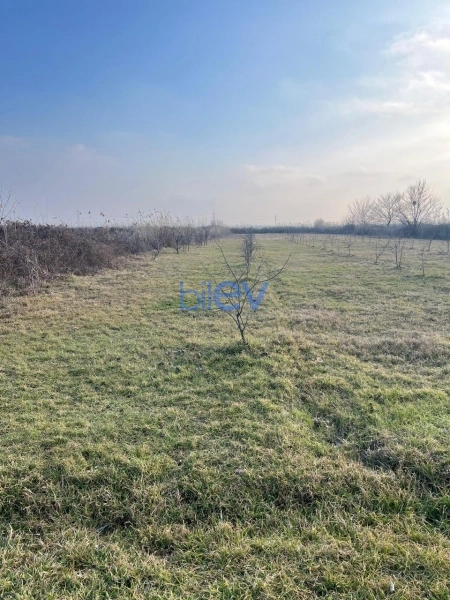 Satış  otaqlı Torpaq  75m², Göyçay