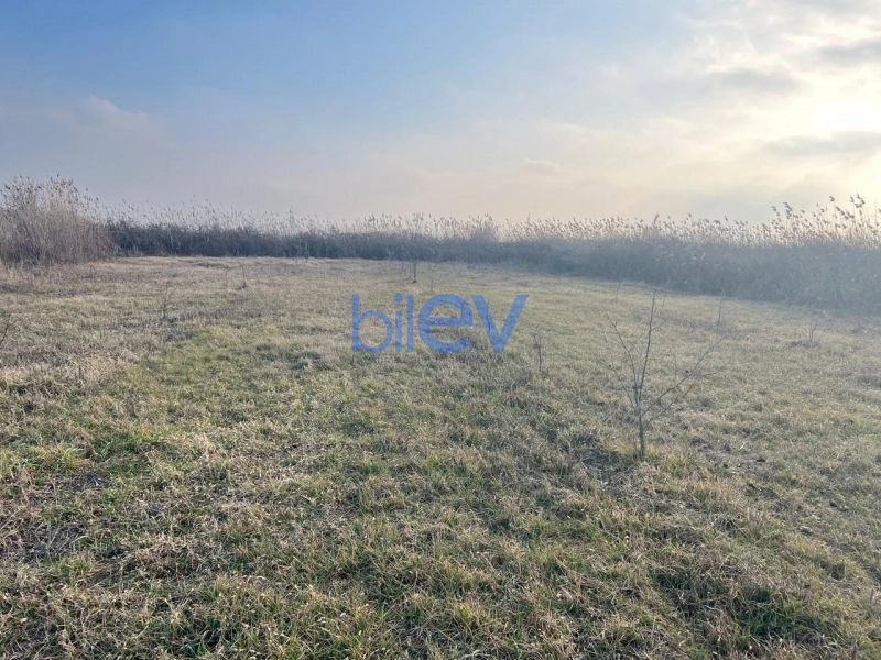 Satış  otaqlı Torpaq  75m², Göyçay