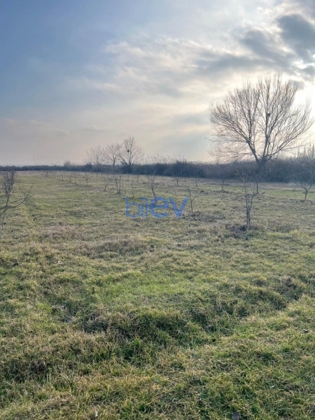 Satış  otaqlı Torpaq  75m², Göyçay