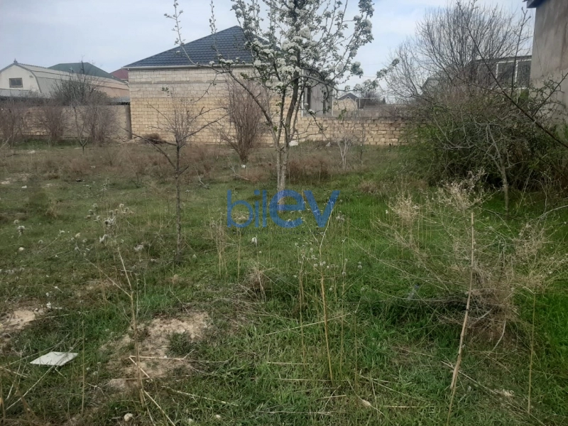 Satış  otaqlı Torpaq  m², Bakı