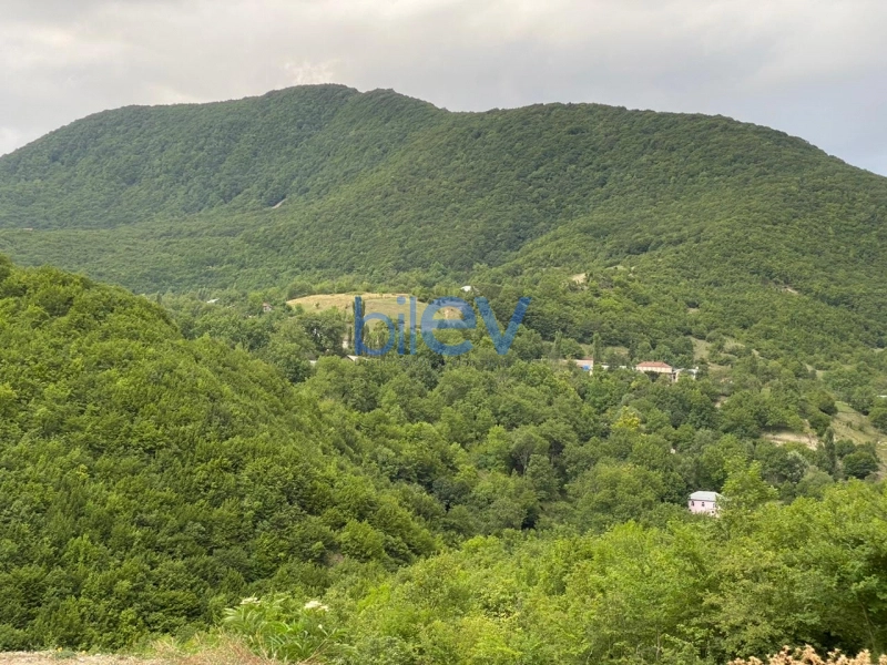 Günlük Kirayə 3 otaqlı Bağ evi  60m², Şamaxı