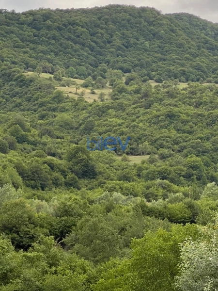 Günlük Kirayə 3 otaqlı Bağ evi  60m², Şamaxı