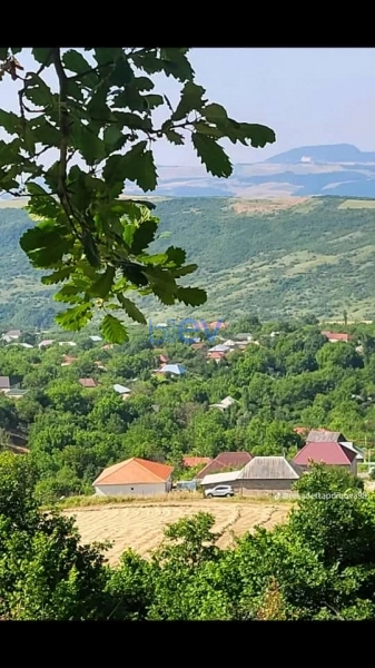 Günlük Kirayə 3 otaqlı Bağ evi  60m², Şamaxı