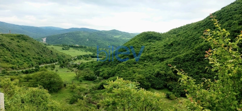 Günlük Kirayə 3 otaqlı Bağ evi  60m², Şamaxı