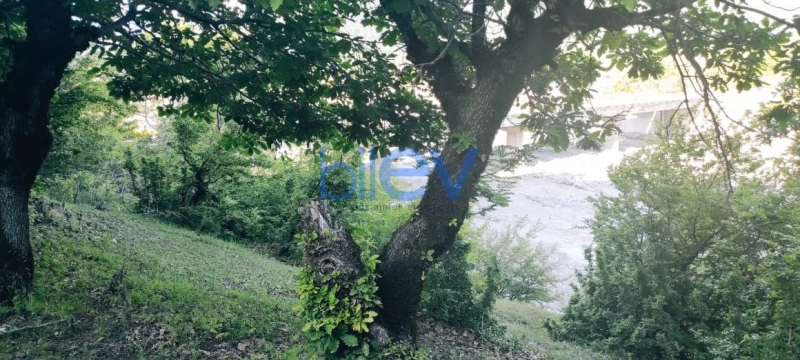 Satış  otaqlı Torpaq  25m², İsmayıllı