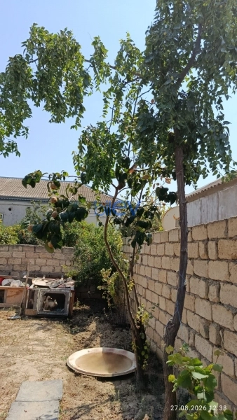 Satış 3 otaqlı Həyət evi  70m², Bakı