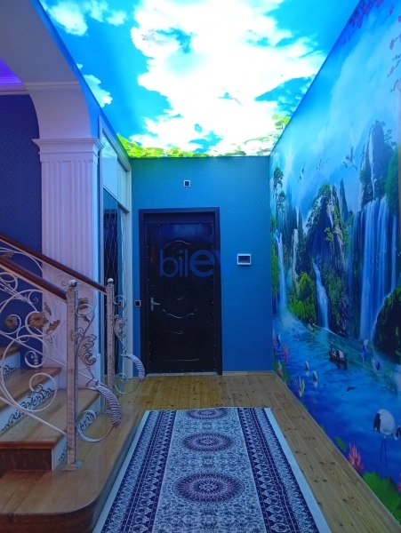 Satış 6 otaqlı Həyət evi  360m², Bakı