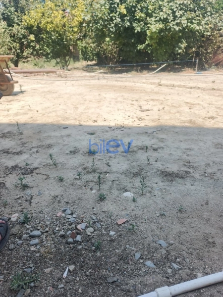 Satış  otaqlı Torpaq  600m², Bakı