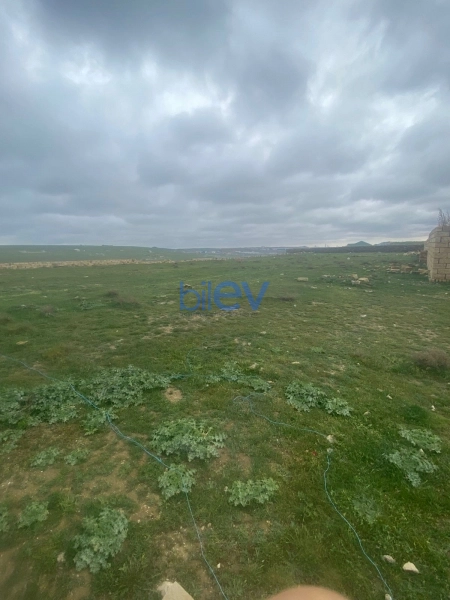 Satış 2 otaqlı Torpaq  20000m², Bakı