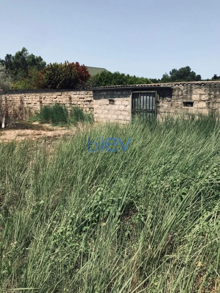 Satış  otaqlı Torpaq  2000m², Bakı