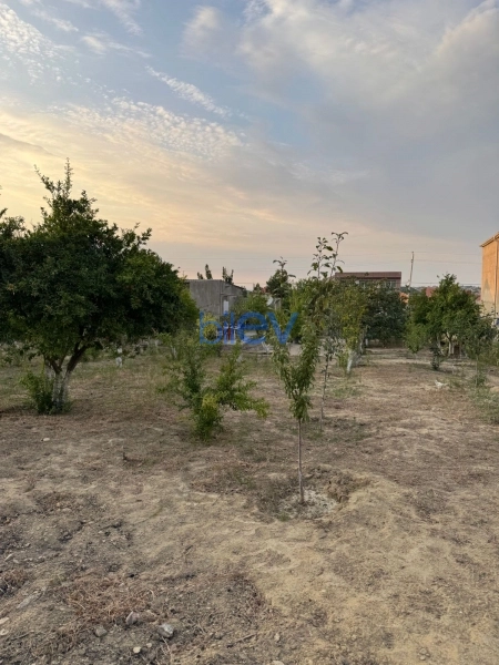 Satış  otaqlı Torpaq  1200m², Bakı