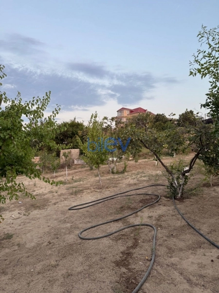 Satış  otaqlı Torpaq  1200m², Bakı