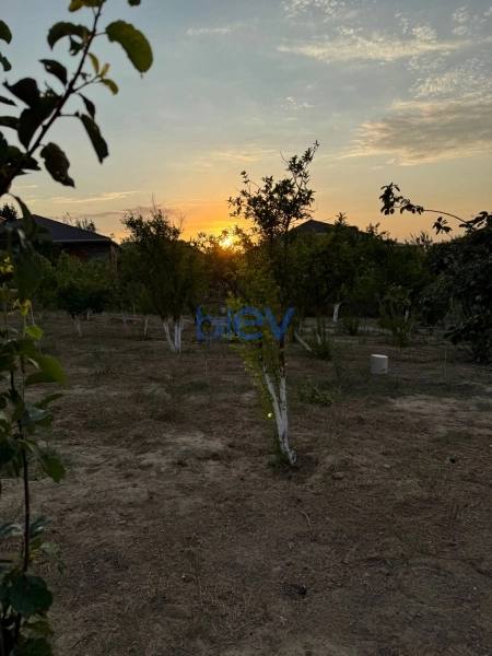 Satış  otaqlı Torpaq  1200m², Bakı