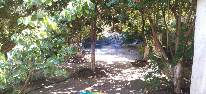 Satış 3 otaqlı Torpaq  526m², Bakı