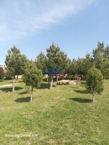 Satış 2 otaqlı Yeni Tikili bina evi  55m², Bakı