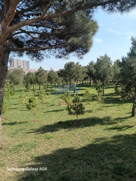 Satış 2 otaqlı Yeni Tikili bina evi  55m², Bakı