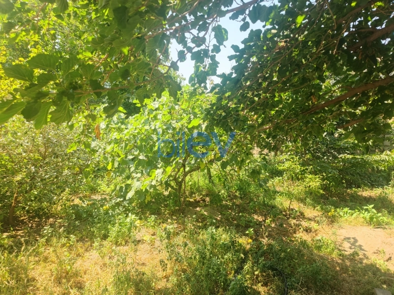 Satış 4 otaqlı Həyət evi  200m², Bakı