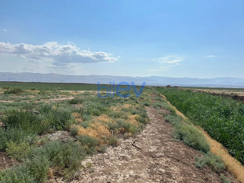Satış  otaqlı Torpaq  511m², Xızı
