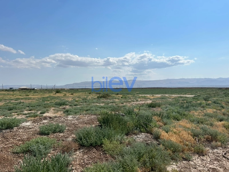 Satış  otaqlı Torpaq  511m², Xızı
