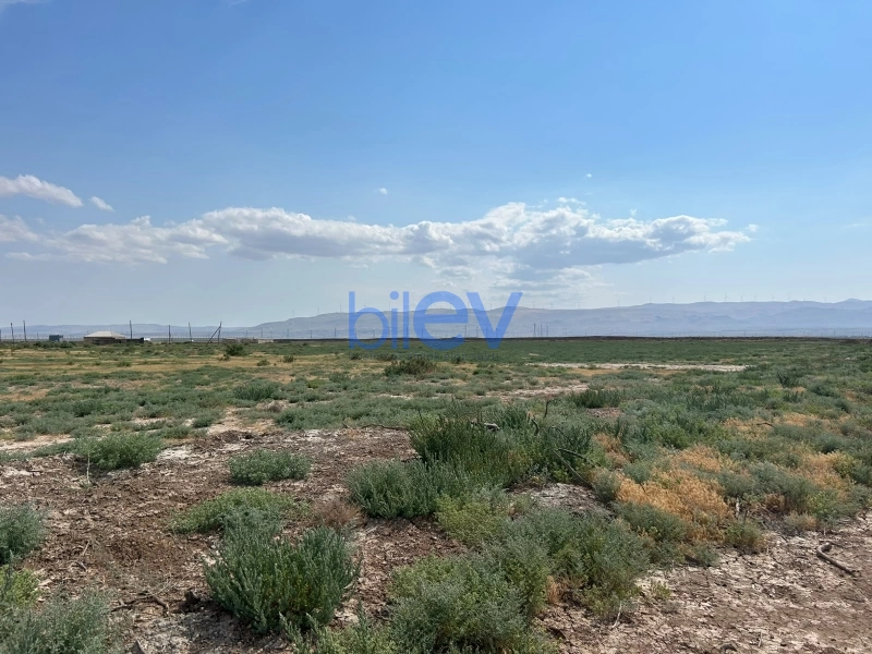 Satış  otaqlı Torpaq  511m², Xızı