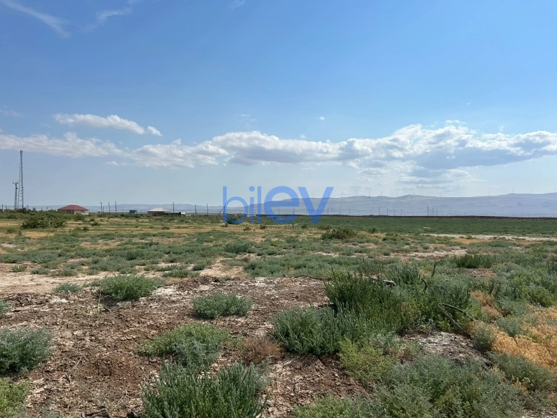Satış  otaqlı Torpaq  511m², Xızı