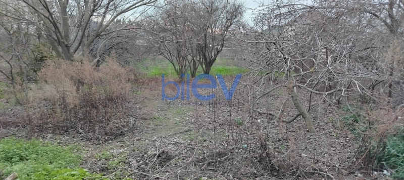 Satış  otaqlı Torpaq  3m², Bakı